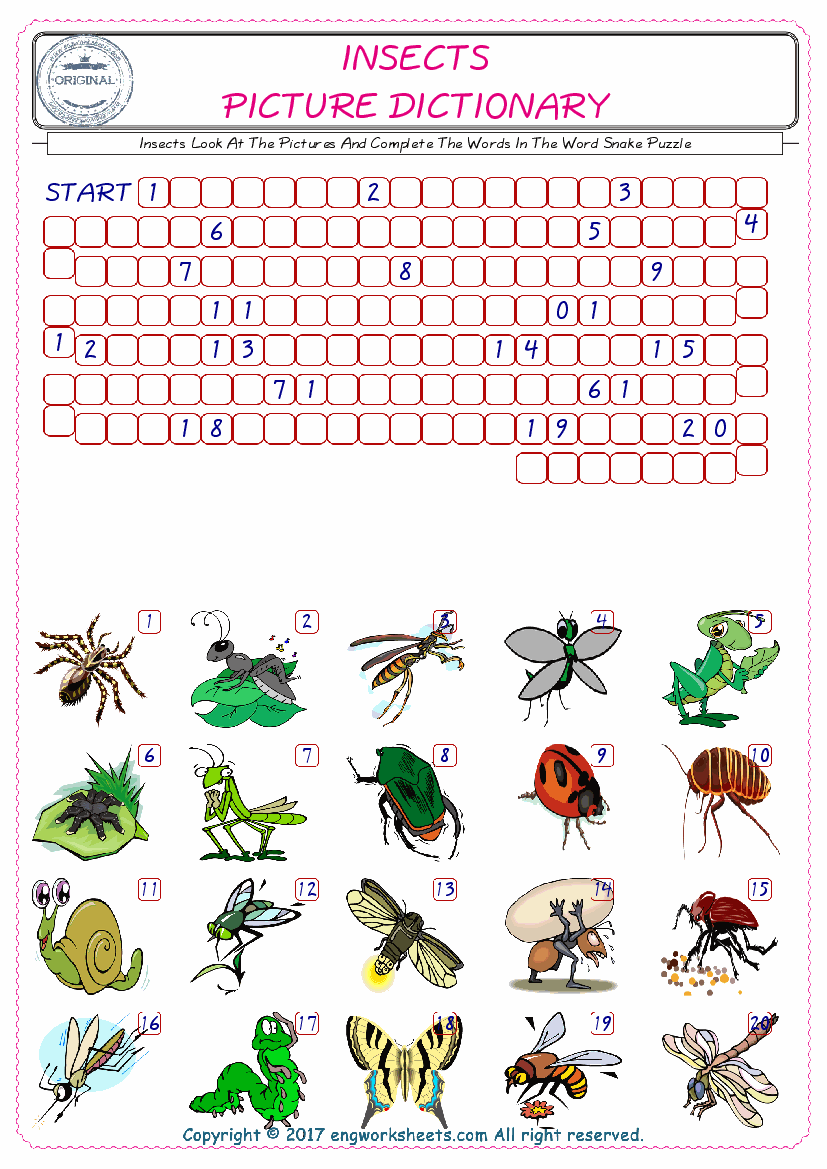  Check the Illustrations of Insects english worksheets for kids, and Supply the Missing Words in the Word Snake Puzzle ESL play. 